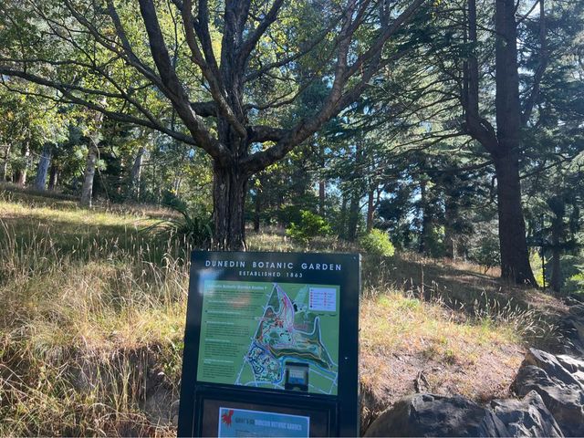 Dunedin Botanic Garden 但尼丁市區植物園，野餐散步好地方