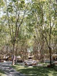 Camp Cafe คาเฟ่สไตล์แคมป์ปิ้ง ในสวนยาง อุดรฯ