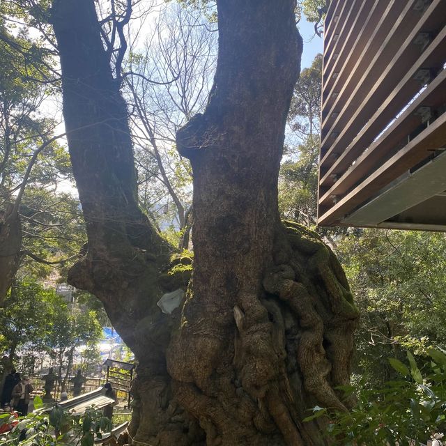 熱海＆伊豆観光