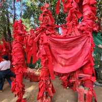 เขาคิชกุฏ 2566
