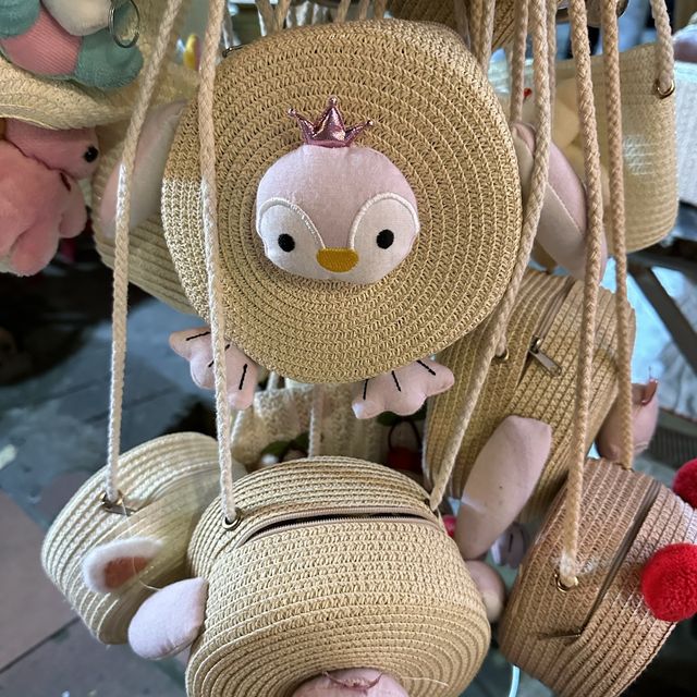 中越的會安牛河和法包🤨