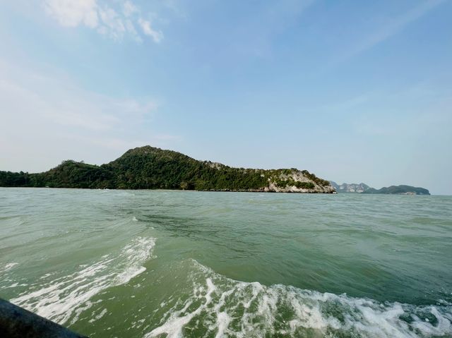 Pink Dolphins at Khanom, Nakhon Si Thammarat 