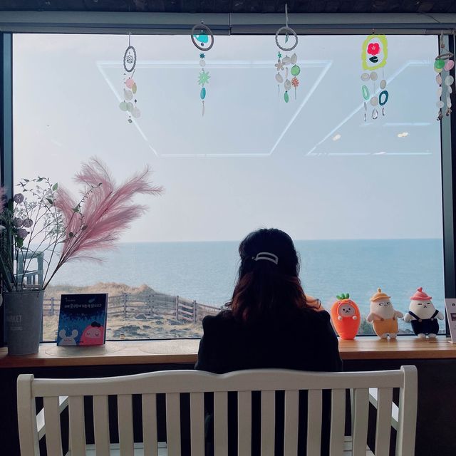 제주에서 유채꽃과 2박3일 