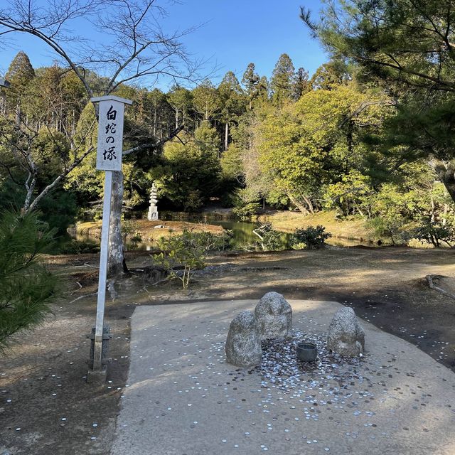 “Kinkaku-ji” - A nice place to 📷 in Kyoto🇯🇵