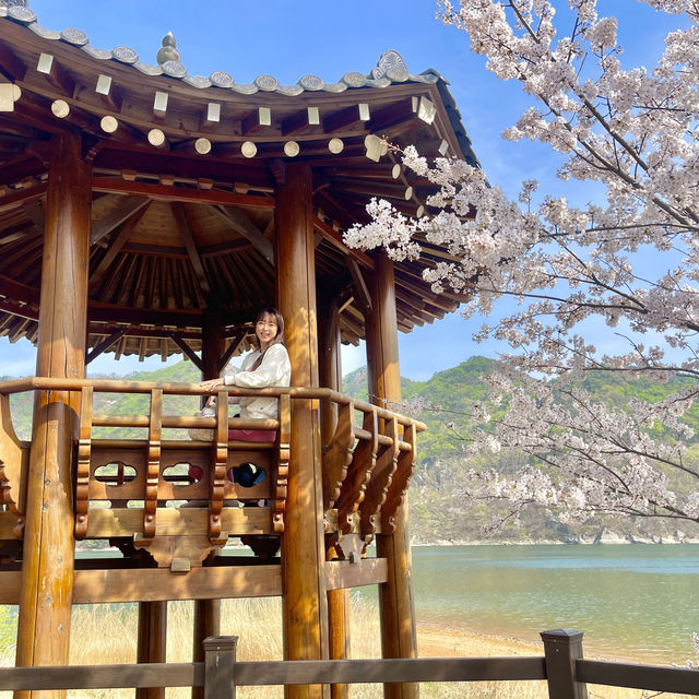 부산의 숨은 힐링장소 회동수원지 둘레길 황토숲길🌱🌸