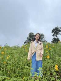 บรรยากาศสุดฟิน @ HADUBI CAMPING