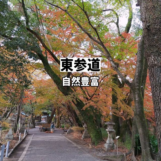 高知県！初代土佐藩主山内一豊を祀る山内神社