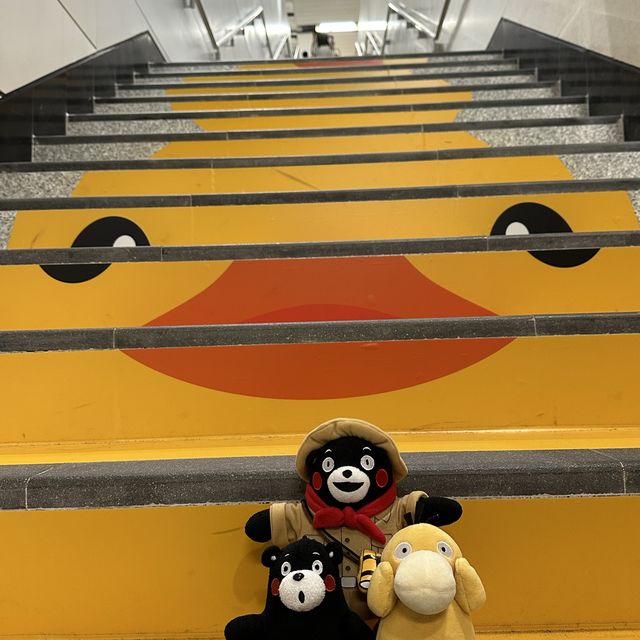 Yellow Ducks are back to Hong Kong 🐤🐤