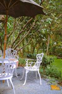 ป่าก์คาเฟ่& เบเกอรรี่ จ.นนทบุรี