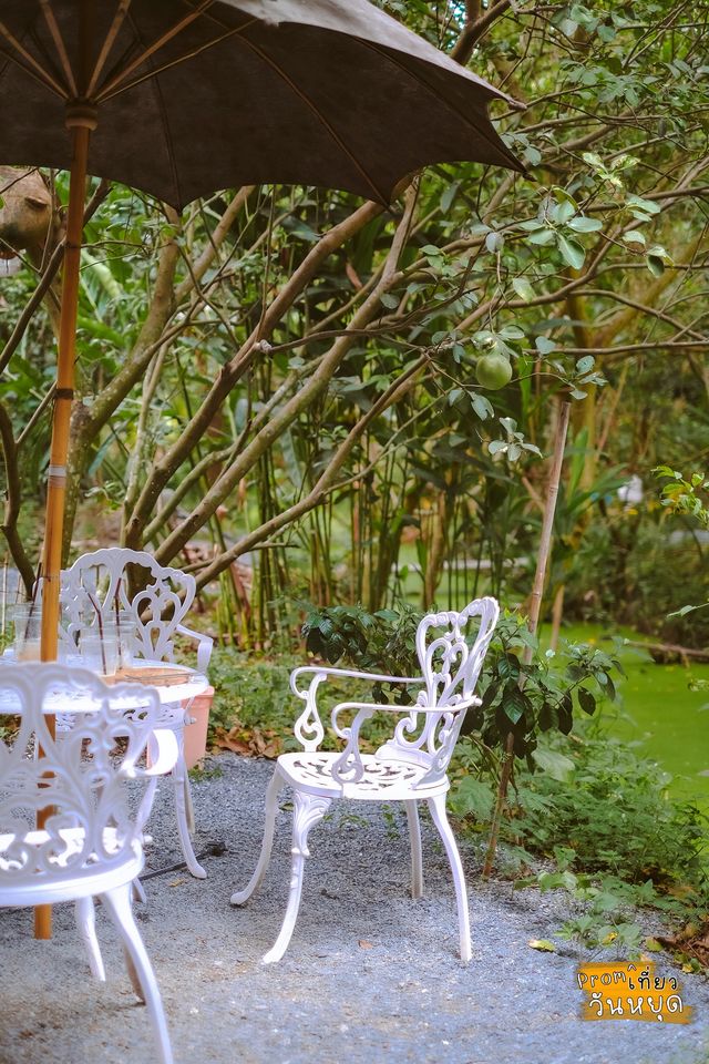 ป่าก์คาเฟ่& เบเกอรรี่ จ.นนทบุรี