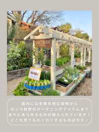 【川崎】インスタ映え抜群なお花屋さん🌼