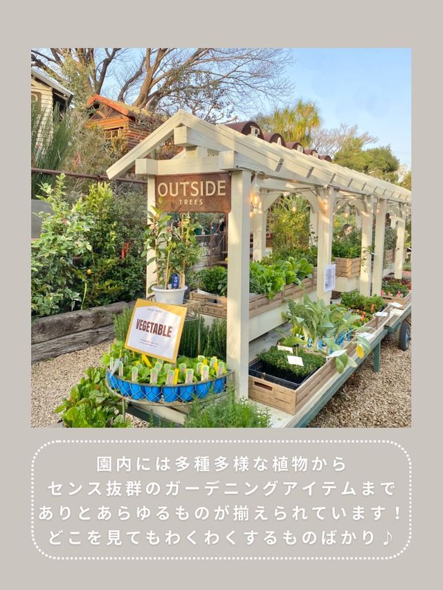【川崎】インスタ映え抜群なお花屋さん🌼