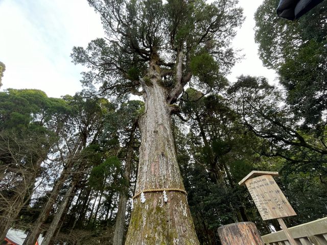 【鹿児島】坂本龍馬も訪れた