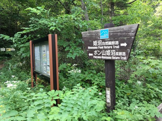 北海道　北海道観光　利尻島で絶対に外せない観光スポット　姫沼に行ってきた！
