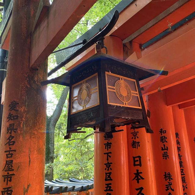 京都伏見稲荷「千本鳥居」は人々を魅了してやまない人気のスポット