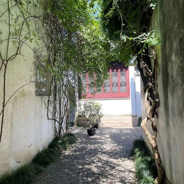 這小日子過得著實滋潤 ！中國江苏省苏州市！姑苏 ！