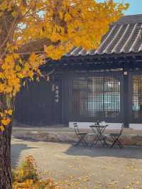 떠나가는 가을이 아쉽다면, 공주 로컬커피🍂