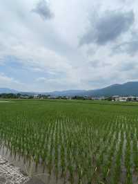日本🇯🇵 ｜由布院一日遊 - 日本必去溫泉地點