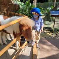 Lost World of Tambun Theme Park