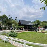 Lansaka sheep farm : คาเฟ่ฟาร์มแกะ ลานสกา