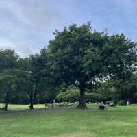 台北華山1914文創園區