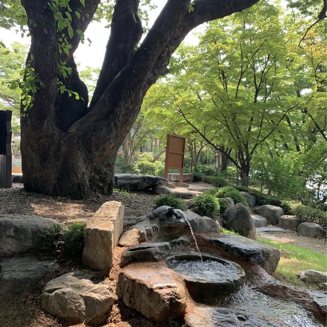  心靈的避風港！在首爾吉祥寺尋找平靜與寧靜🏯🌸