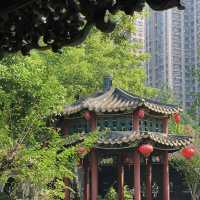 🏯🌸 禪意園林美境～清暉園博物館🍃🎋