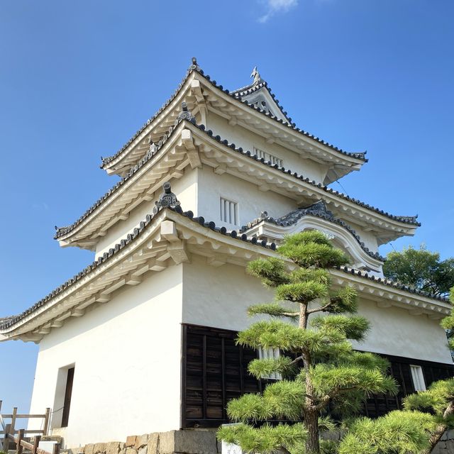 うどんだけじゃない！香川の丸亀城