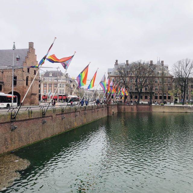 荷蘭🇳🇱海牙The Hague (Den Haag)🚶🏻‍♀️🚶🏿🚶🏻‍♂️ Hofvijver 散步看風景