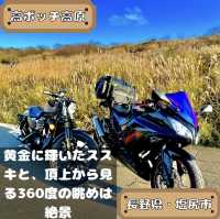 高ボッチ高原