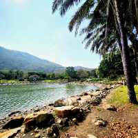 廸欣湖：湖畔🏞️+野餐🧺，天然寧靜中享受美食和放鬆😌🍽️！