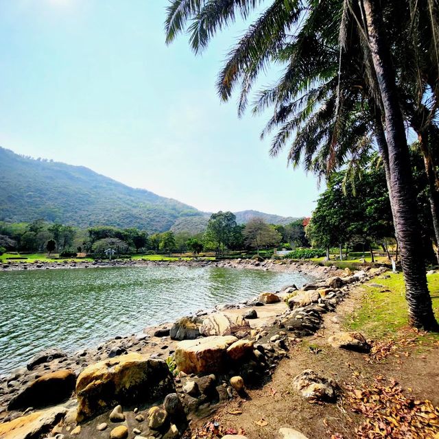 廸欣湖：湖畔🏞️+野餐🧺，天然寧靜中享受美食和放鬆😌🍽️！