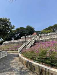 🇸🇬 Terrace Garden: It feels like Spring 🌸