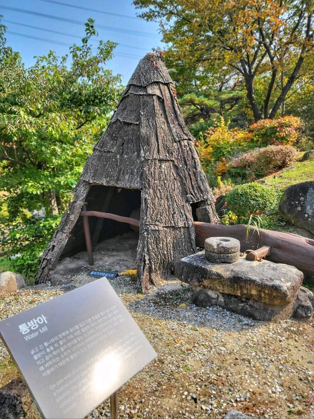 강릉 구석구석 드라이브하기 좋은 코스🍁