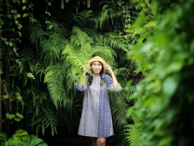 The Forest สวนป่าคาเฟ่ จ.อุตรดิตถ์