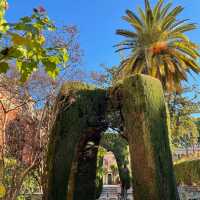 The Royal Alcázar of Seville