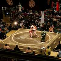 Sumo in Tokyo! 