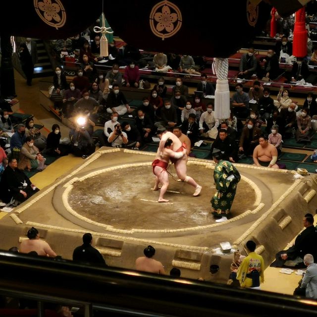 Sumo in Tokyo! 