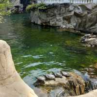 親子好去處—香港公園