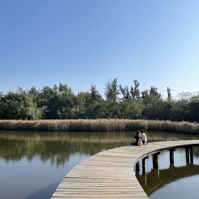 濕地公園賞紅葉