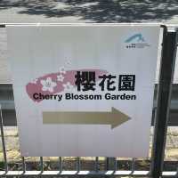 香港小日本🇯🇵櫻花園