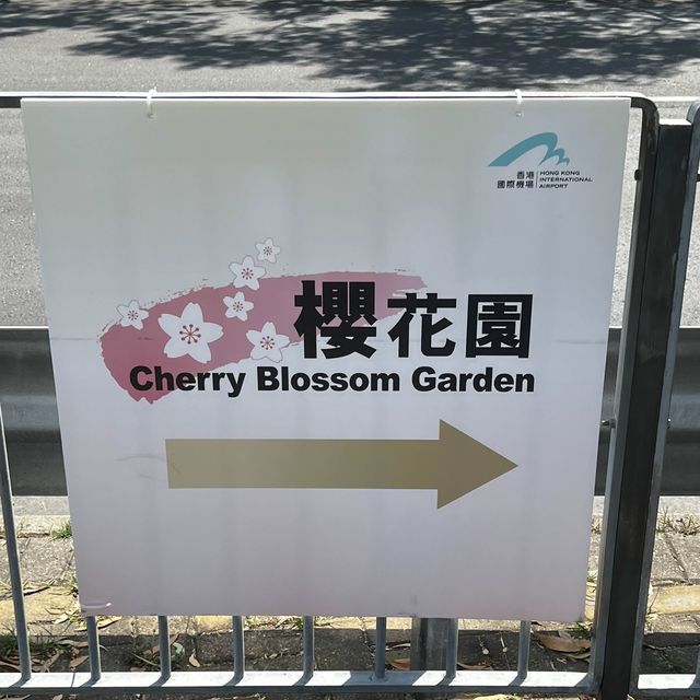 香港小日本🇯🇵櫻花園