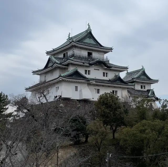 尋找德川家康