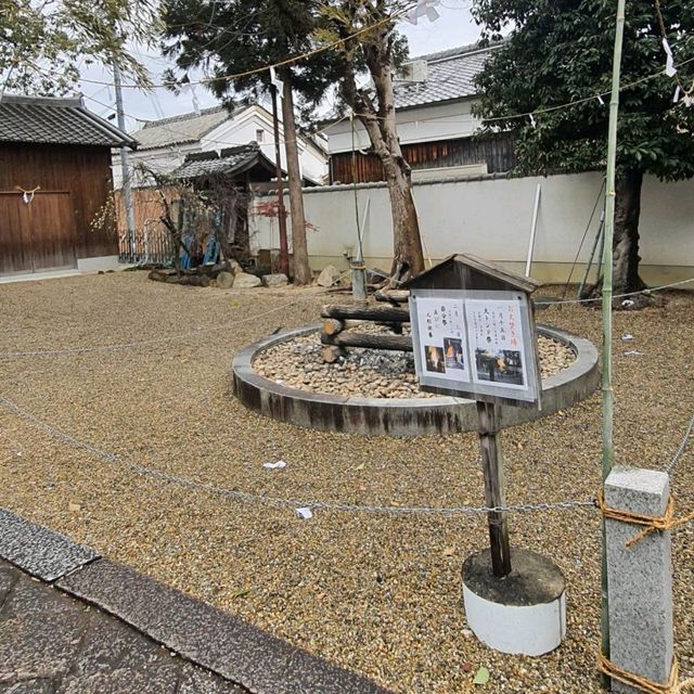 日本神社重要節慶【節分祭】