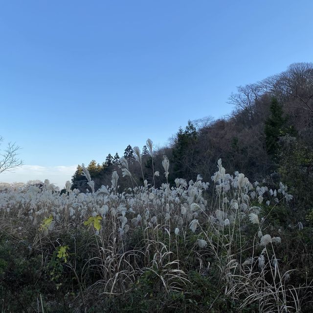 비밀의 숲은 노을질 때 가야 예쁘다