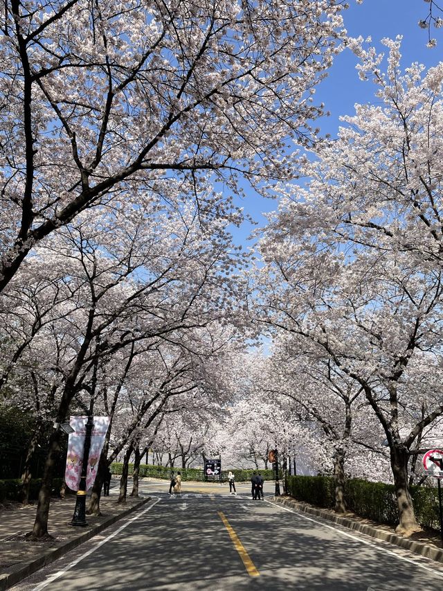 이월드 포토존 사진 남기기 꿀팁!🌸