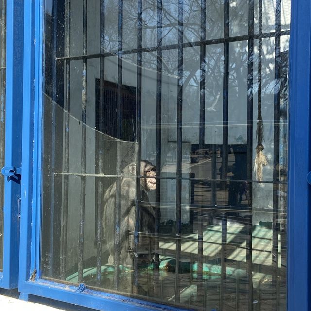 대구 아이와 함께 가볼만한 곳, 달성공원 동물원