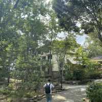 苗栗泰安 湯之島 虎山溫泉會館