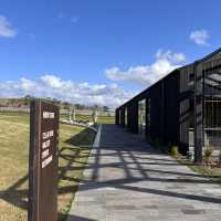 Elevated Wine Experience: St. Hubert's Cellar