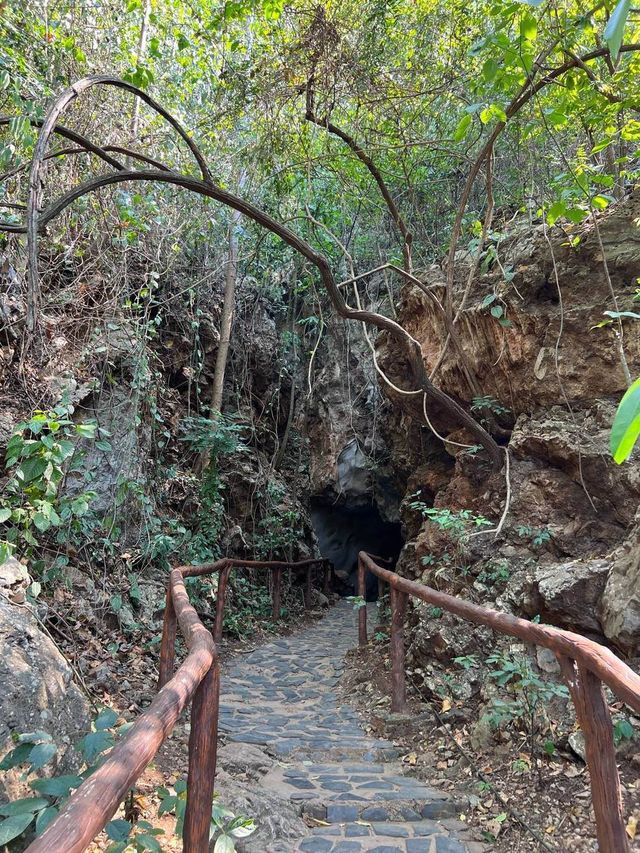 สถานที่ท่องเที่ยวแห่งใหม่ ป่าดึกดำบรรพ์